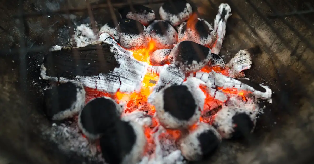 Barbecue briketten