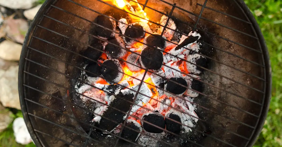 Barbecue op kolen