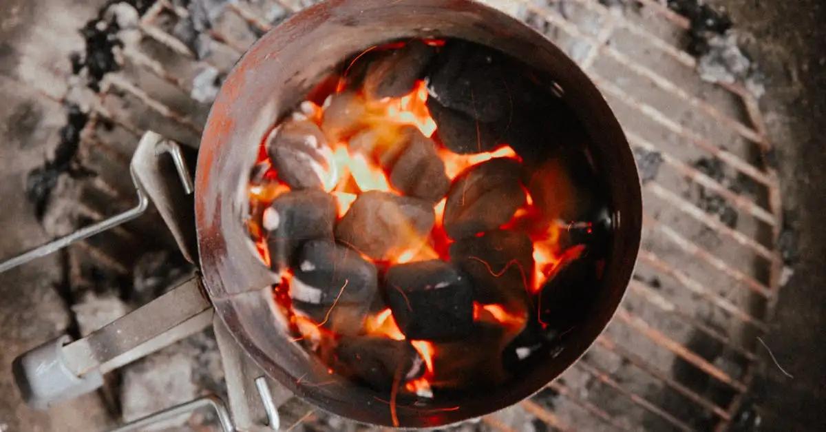 Barbecue starter