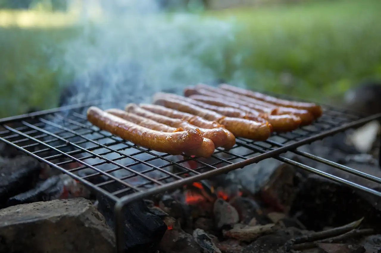 Barbecue in park