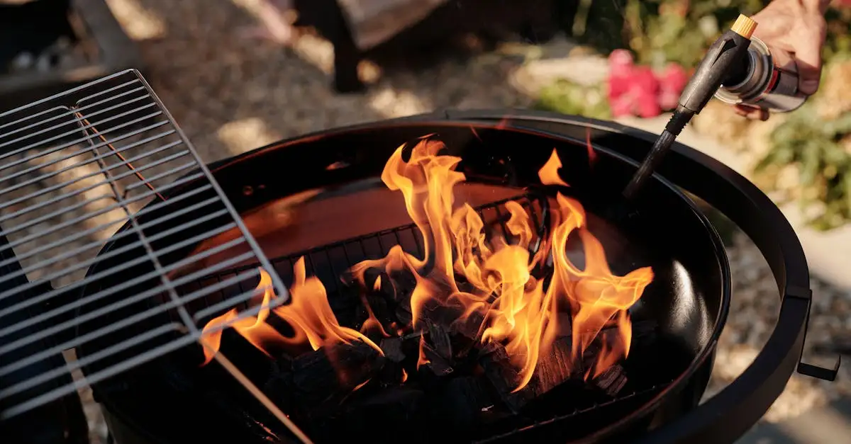Camping barbecue gas