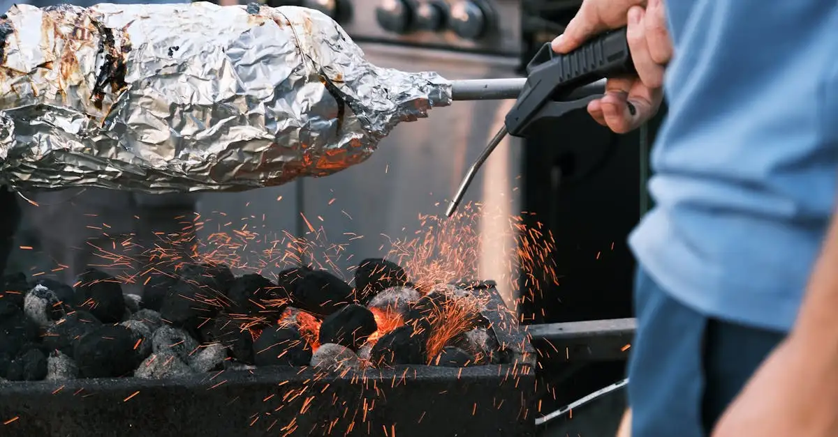 Elektrische aansteker voor barbecue kopen en vergelijken