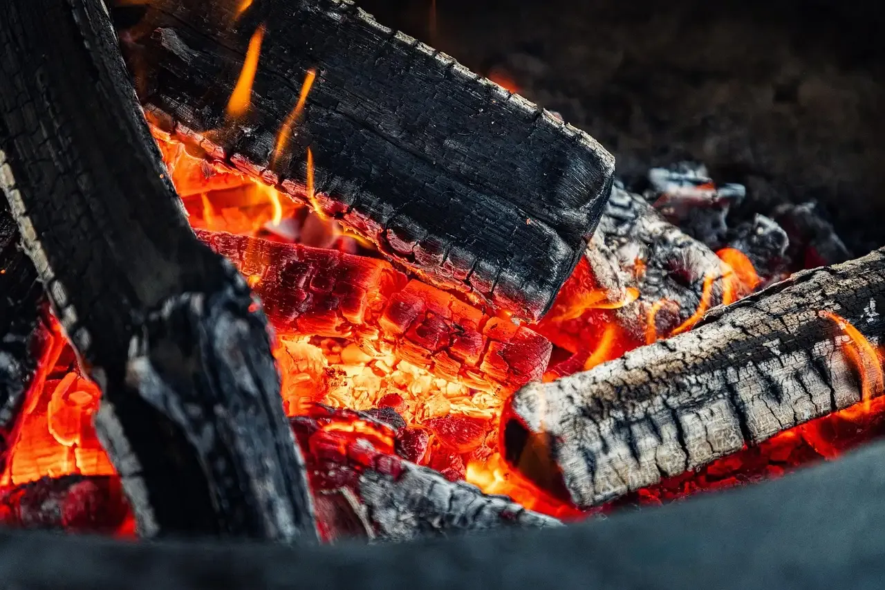 Lekkere visrecepten voor op de barbecue