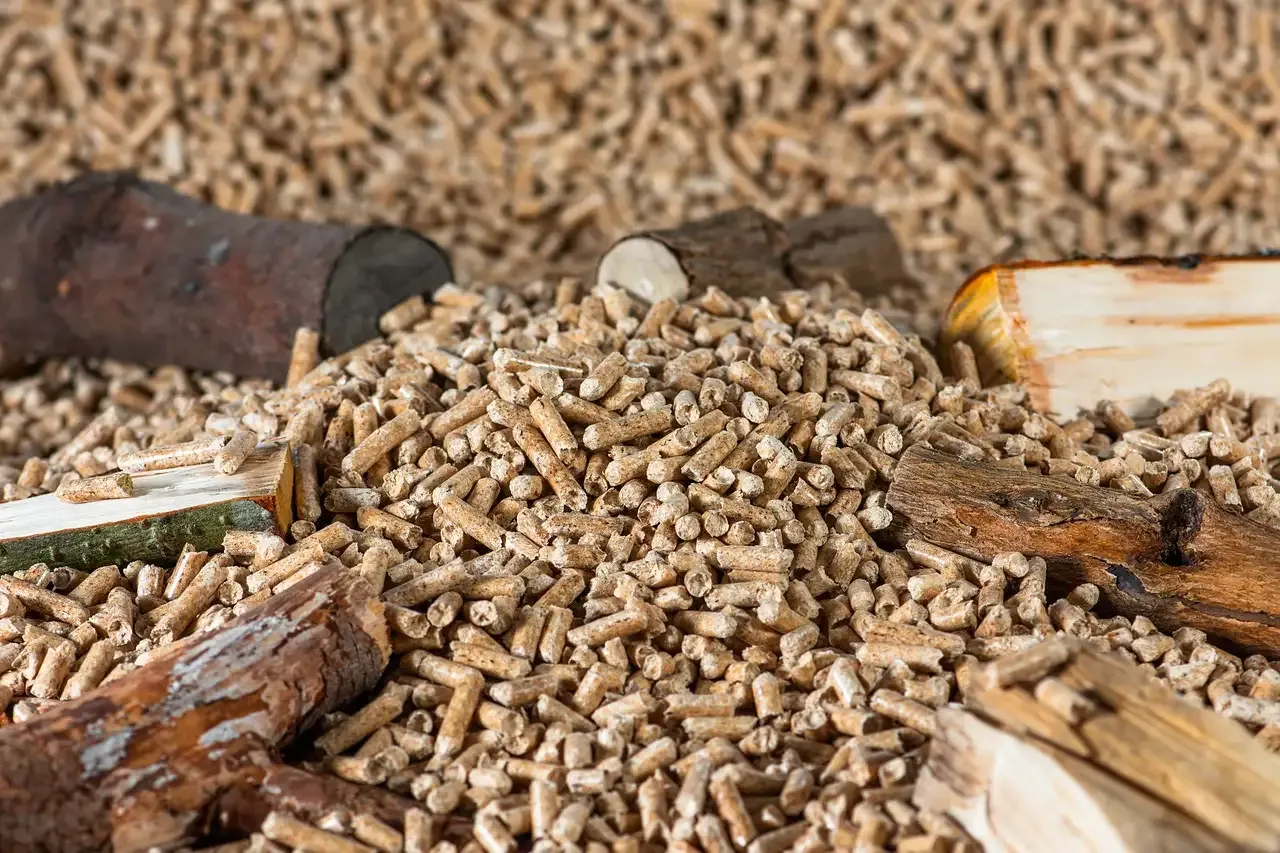 Pellet barbecue kopen? Tips en beste modellen