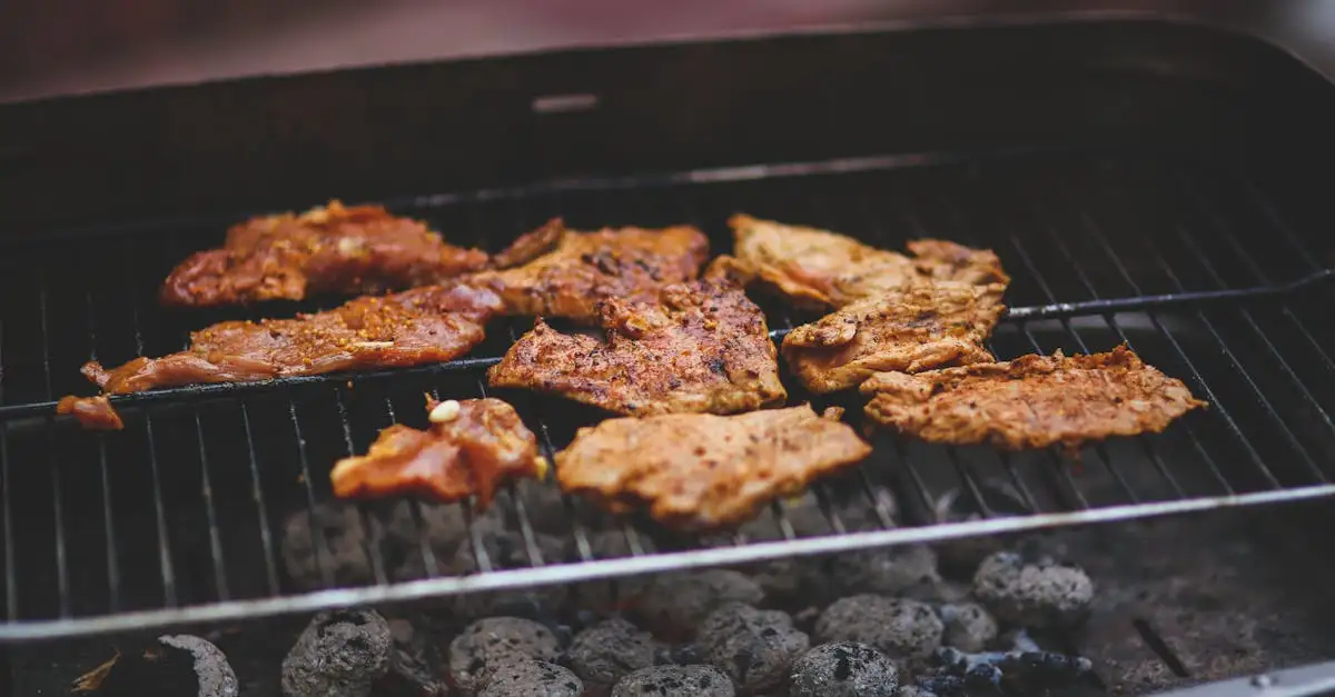 Rooster voor barbecue kopen? Vind het beste rooster hier