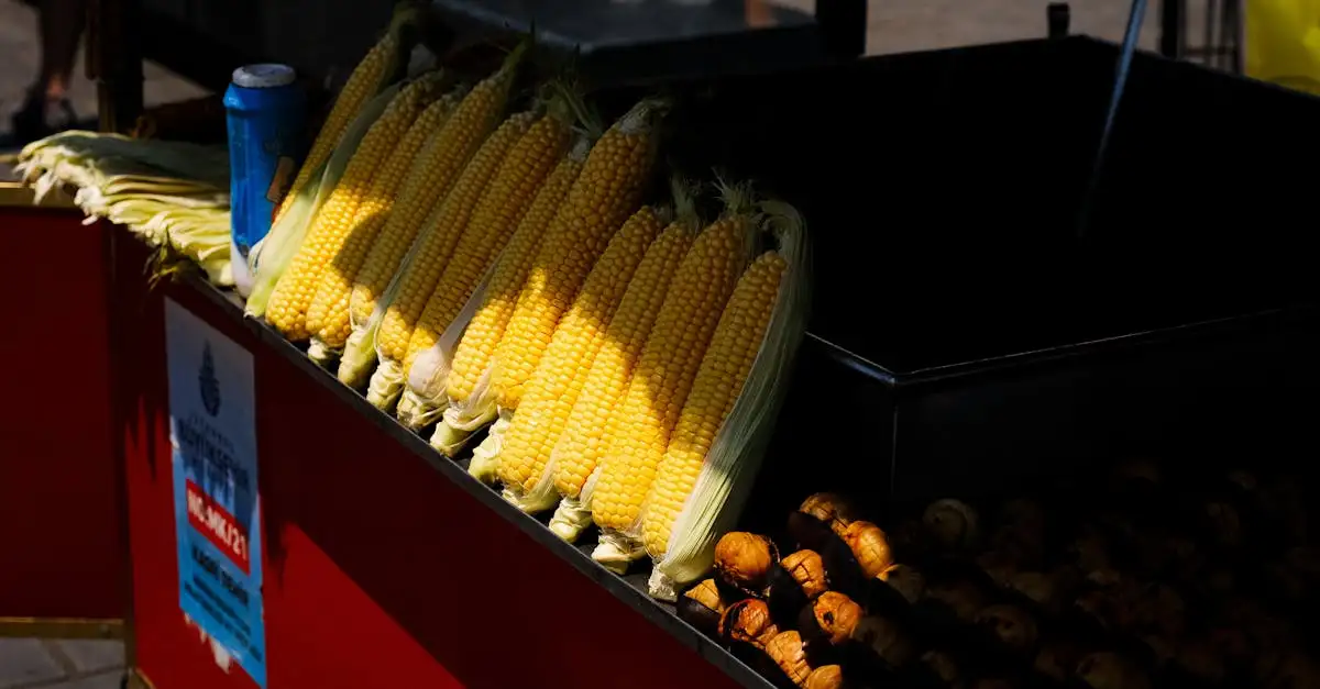 Steenkorf barbecue kopen? Ontdek onze unieke modellen