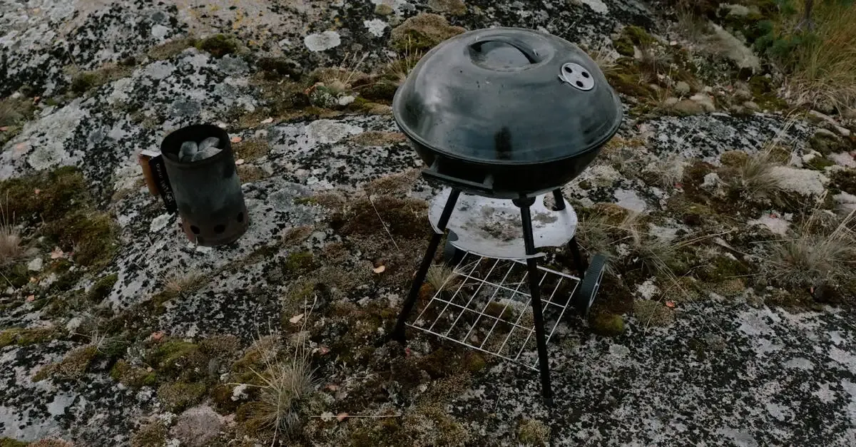 Weber go anywhere barbecue