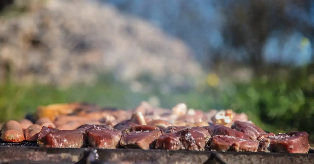 Zoutsteen barbecue